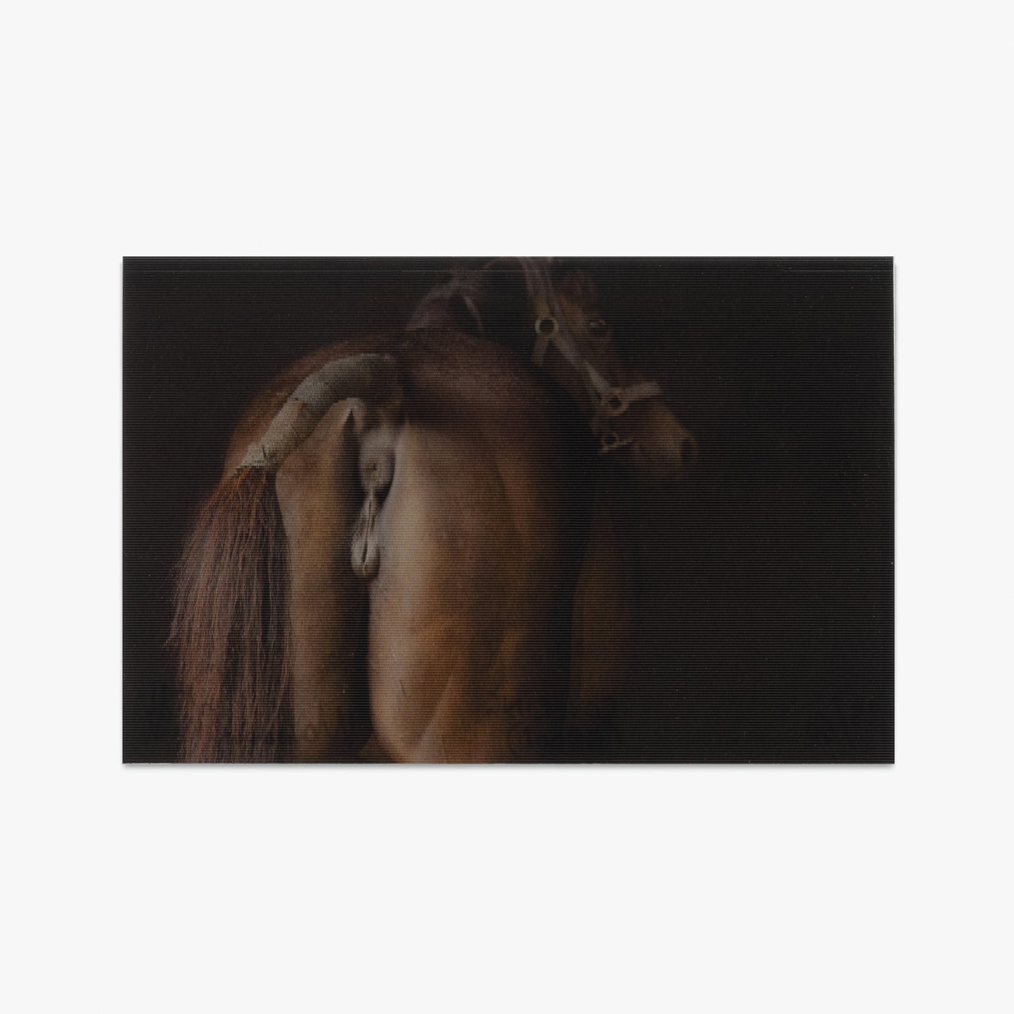 Covering (complete set)